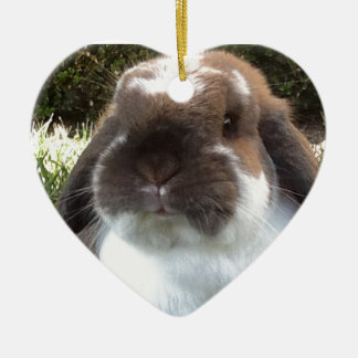 Bring some furriness into your life! ceramic ornament