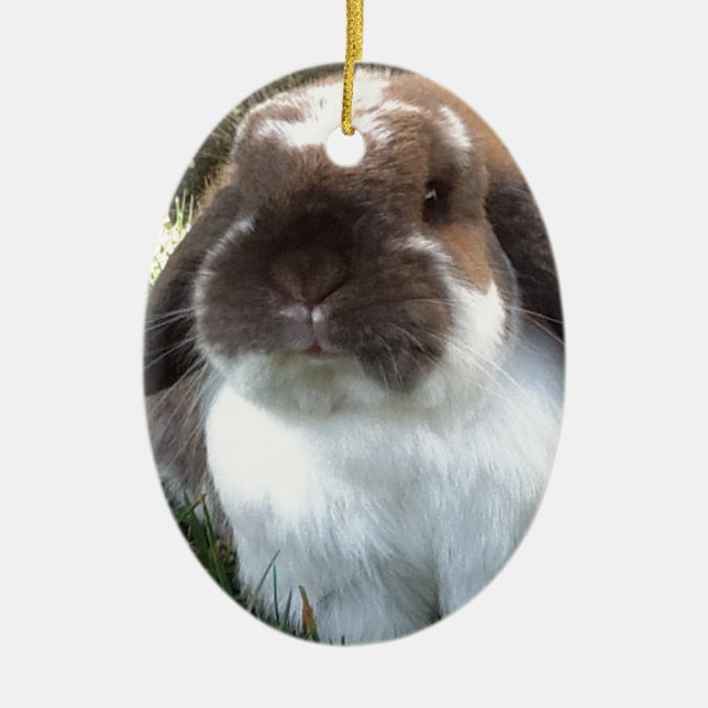 Bring some furriness into your life! ceramic ornament (Front)