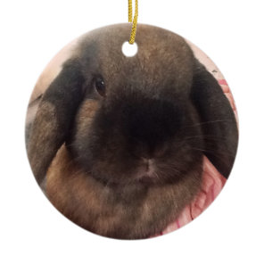 Bring some furriness to your tree ceramic ornament