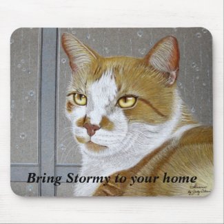 Bring Stormy To Your Home: mousepad