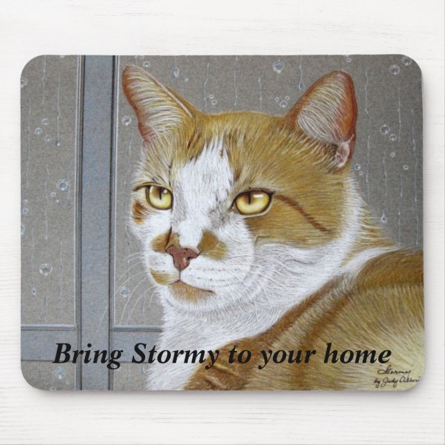Bring Stormy To Your Home: mousepad (Front)