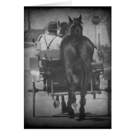 Bringing Home a Horse Behind the Buggy Cards (Front)