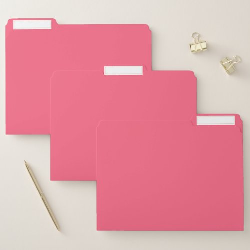 Brink Pink Solid Color File Folder