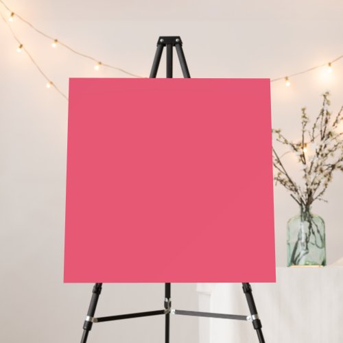 Brink Pink Solid Color Foam Board