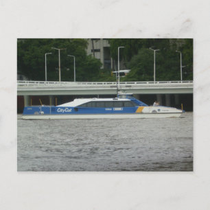 Brisbane City Cat Postcard
