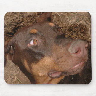 Brisbee Lee Mouse Pad