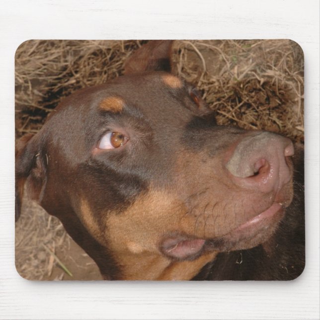 Brisbee Lee Mouse Pad (Front)