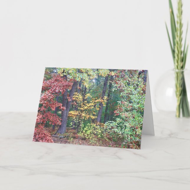 Brister's Hill, Concord MA Card (Front)