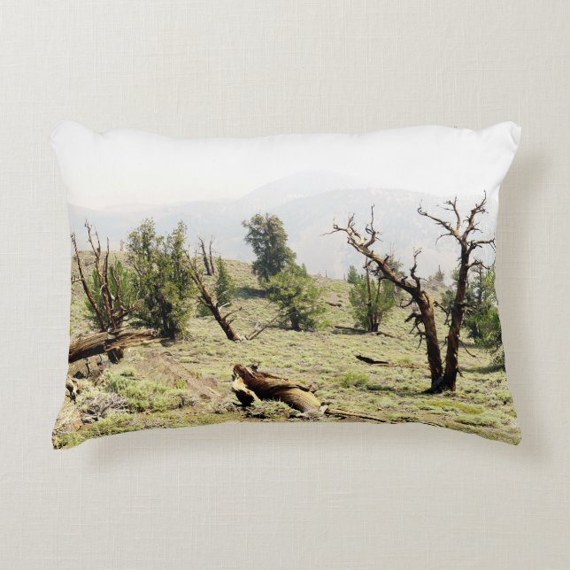 Bristlecone Pine Accent Pillow (Front)