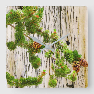 Bristlecone Pine Square Wall Clock