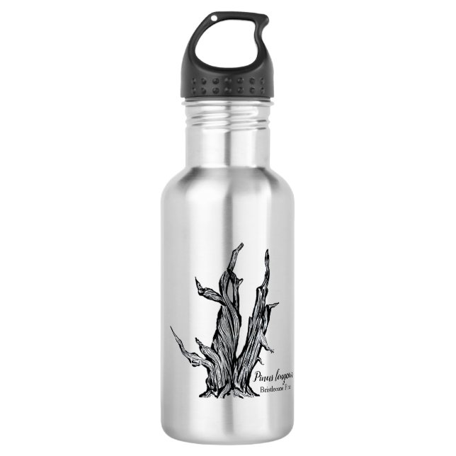 Bristlecone Pine Stainless Steel Water Bottle (Front)