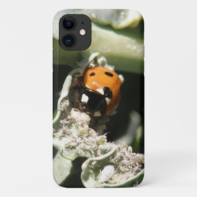 British 7 Spot Ladybug iPhone 3 Case (Back)