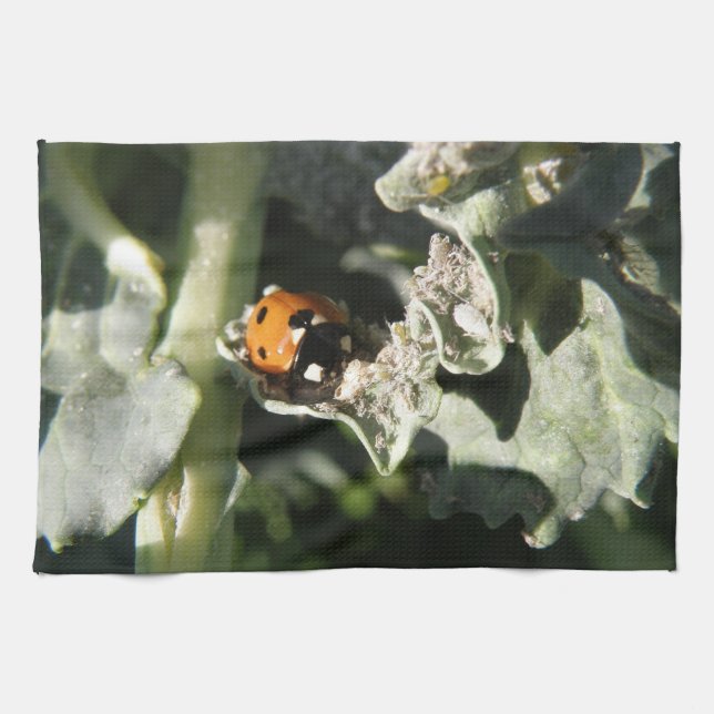 British 7 Spot Ladybug Kitchen Towel (Horizontal)