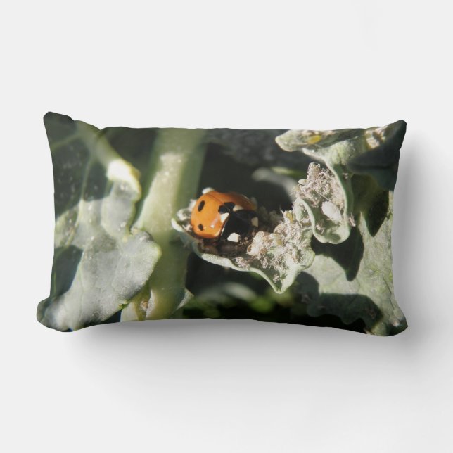 British 7 Spot Ladybug Pillow (Front)