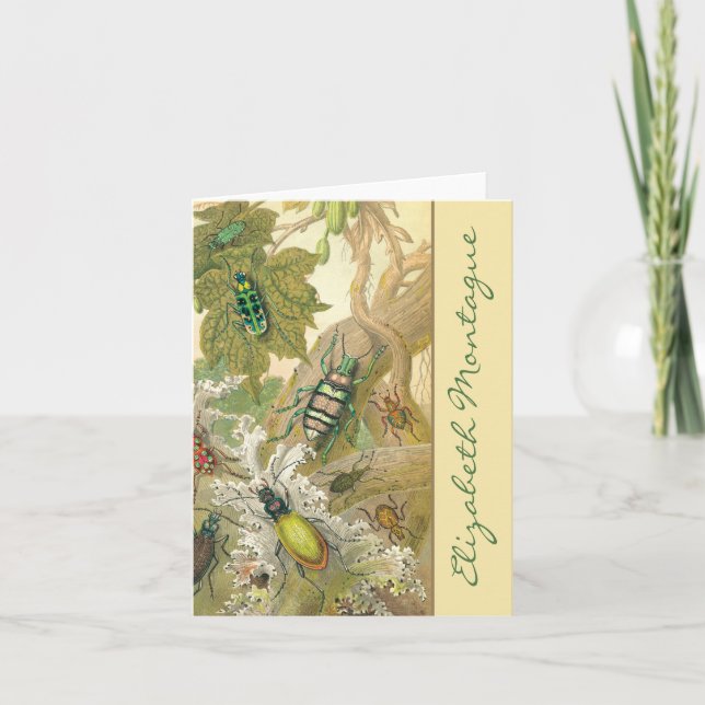 British Beetles Personalized Note Cards (Front)