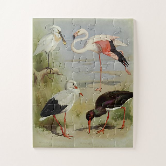 British Birds, Art Illustrations Jigsaw Puzzle (Vertical)