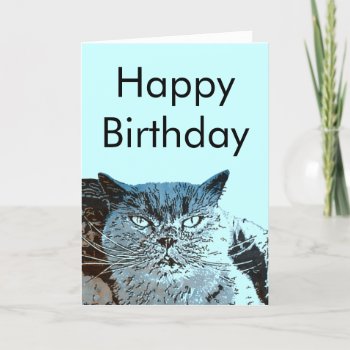 British Blue Cat Birthday Card by PawsForaMoment at Zazzle