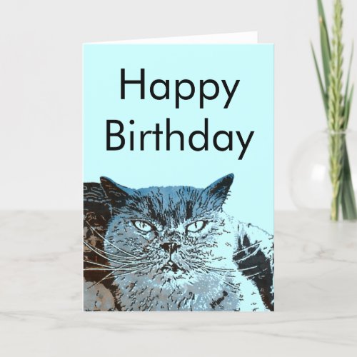 British Blue Cat Birthday Card
