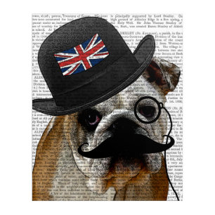 British Bulldog and Bowler Hat Acrylic Print
