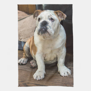 British Bulldog puppy Towel