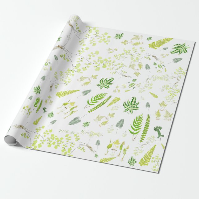British Ferns in Victorian Drawings Wrapping Paper (Unrolled)