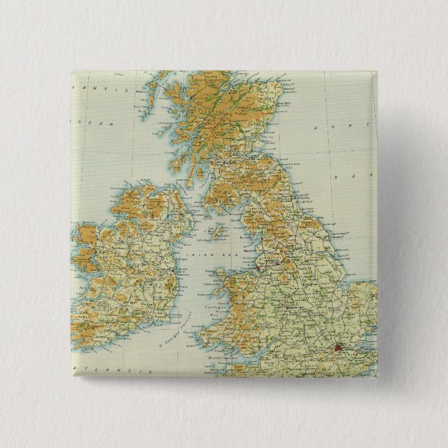 British Isles vegetation & climate map Pinback Button (Front)