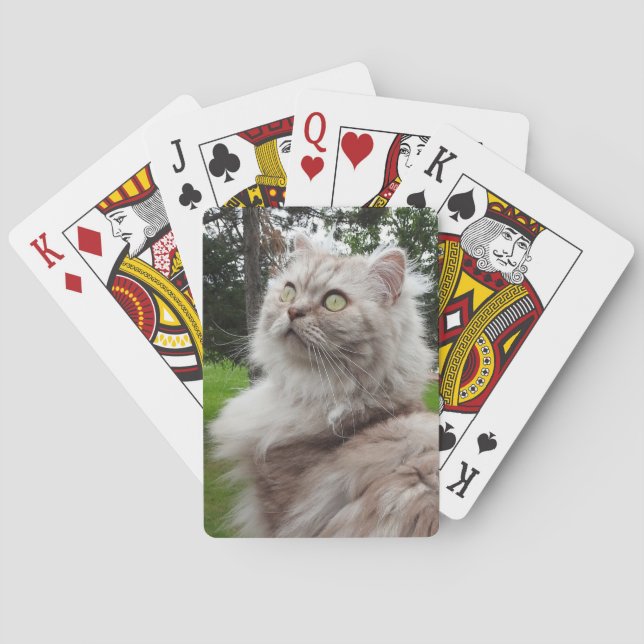 British Longhair Cat - Chocolate, Silver Tabby Poker Cards (Back)
