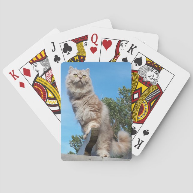 British Longhair Cat - Chocolate, Silver Tabby Poker Cards (Back)