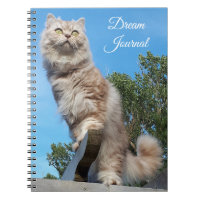 British Longhair Cat Dream Journal Notebook