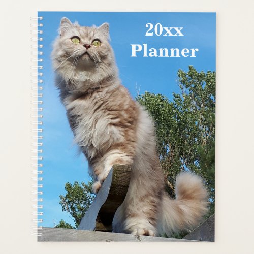 British Longhair Cat Yearly Planner