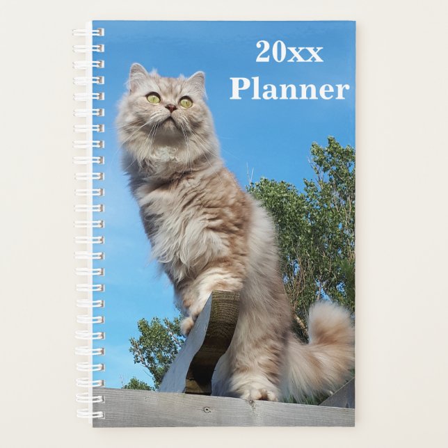 British Longhair Cat Yearly Planner - Small (Front)