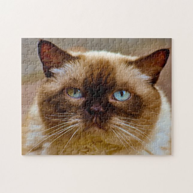 British Short Hair Cat. Jigsaw Puzzle (Horizontal)