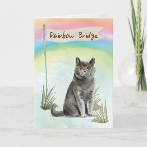 British Short Hair Cat Pet Sympathy Over Rainbow  Card