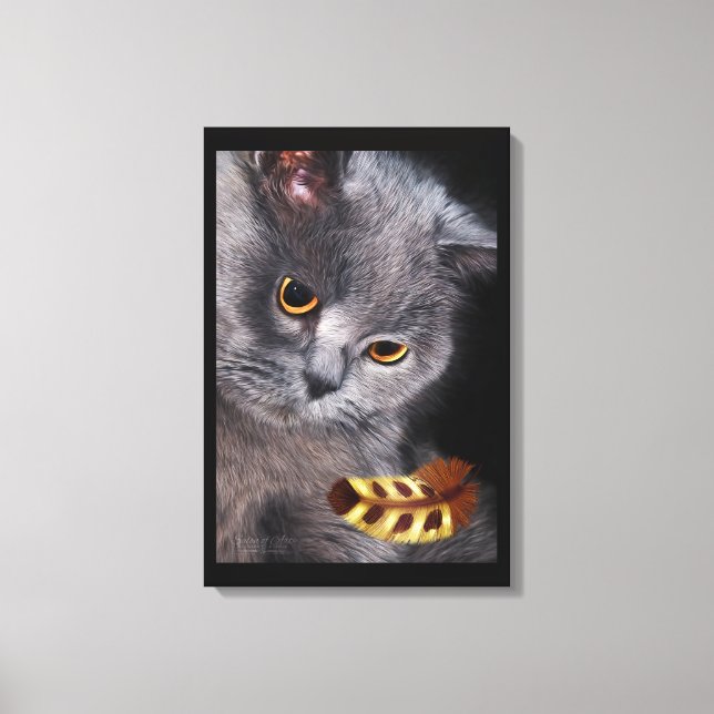 British Short-Hair Cat with Feather Canvas Print (Front)