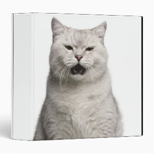 British Shorthair (4 years old) 3 Ring Binder