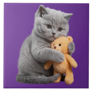 British Shorthair and Teddy Bear Decorative Tile