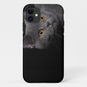 British Shorthair Barely There™ iPhone 5 Case