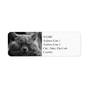 British Shorthair   Black and White   Cat Portrait Label