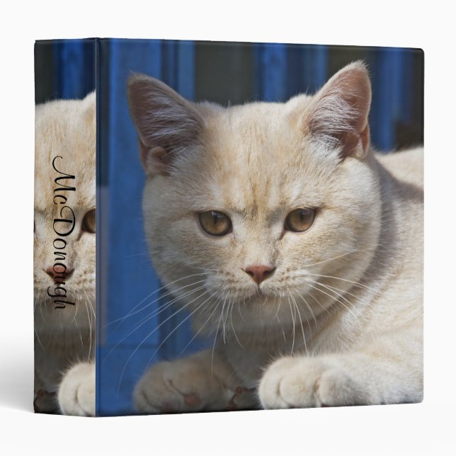 British Shorthair Cat 3 Ring Binder (Front/Spine)