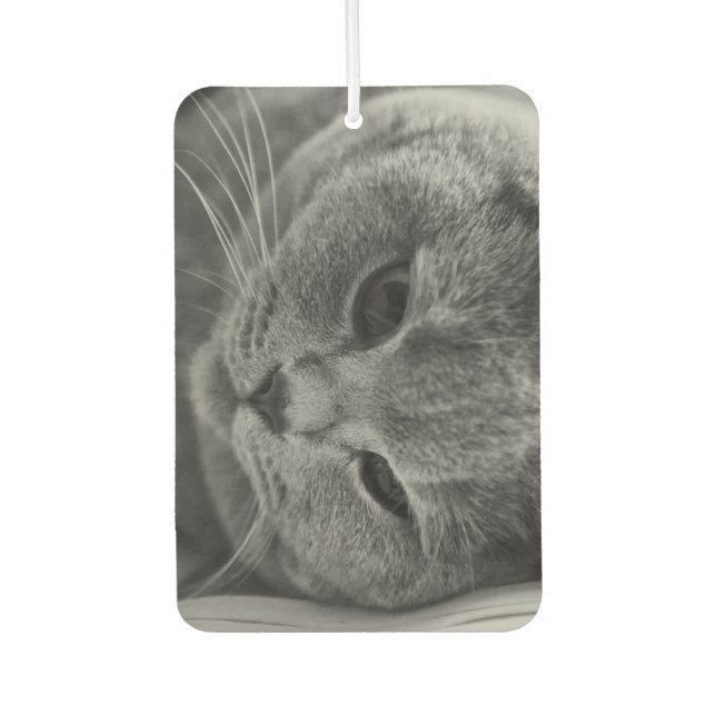 British Shorthair Cat Air Freshener (Front)