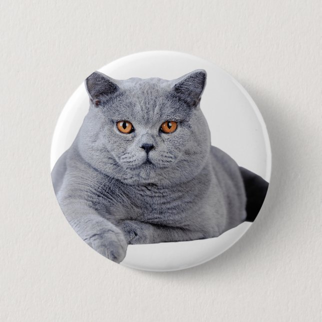 British shorthair cat button (Front)