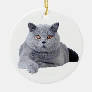 British shorthair cat ceramic ornament