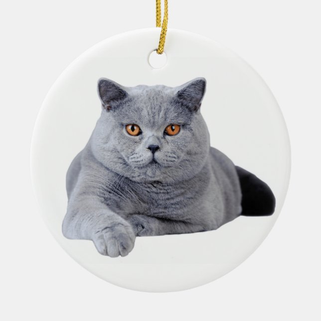 British shorthair cat ceramic ornament (Front)
