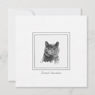 British Shorthair Cat Charcoal Drawing Note Card