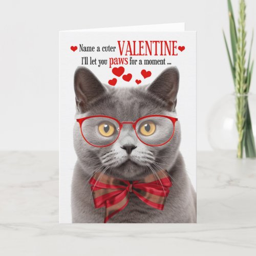 British Shorthair Cat Feline Humor Valentines Day Holiday Card