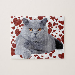 British shorthair cat jigsaw puzzle