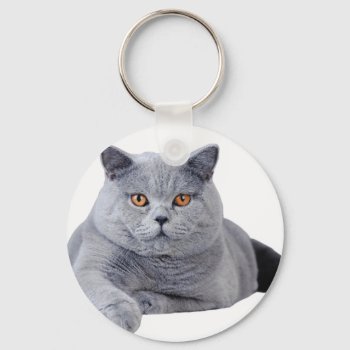 British Shorthair Cat Keychain by petsArt at Zazzle