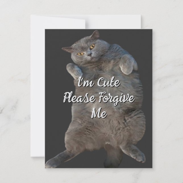 British Shorthair Cat Kitty on Back Apology Card (Front)