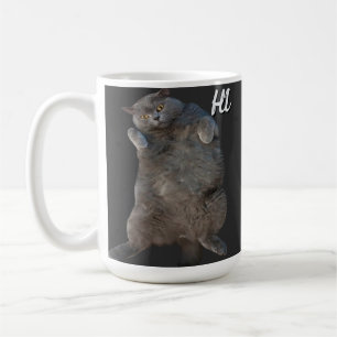British Shorthair Cat Kitty on Back Apology Card Coffee Mug