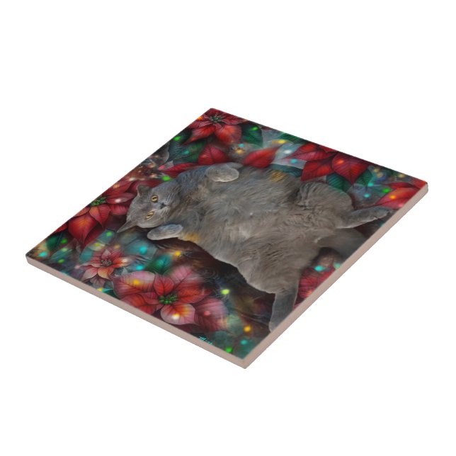 British Shorthair Cat Kitty Poinsettias Christmas  Ceramic Tile (Side)